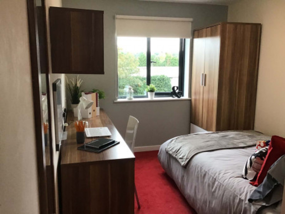 Canterbury Student Village - Canterbury - chambre - ImmoJeune