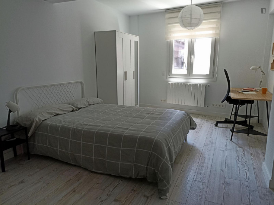 Spacious double bedroom in Uribarri - Bilbao - chambre - ImmoJeune