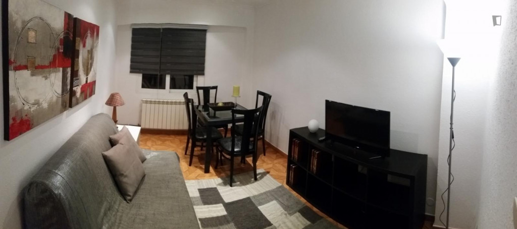 Lovely 2-bedroom apartment in the heart of Santander - Santander - chambre - ImmoJeune