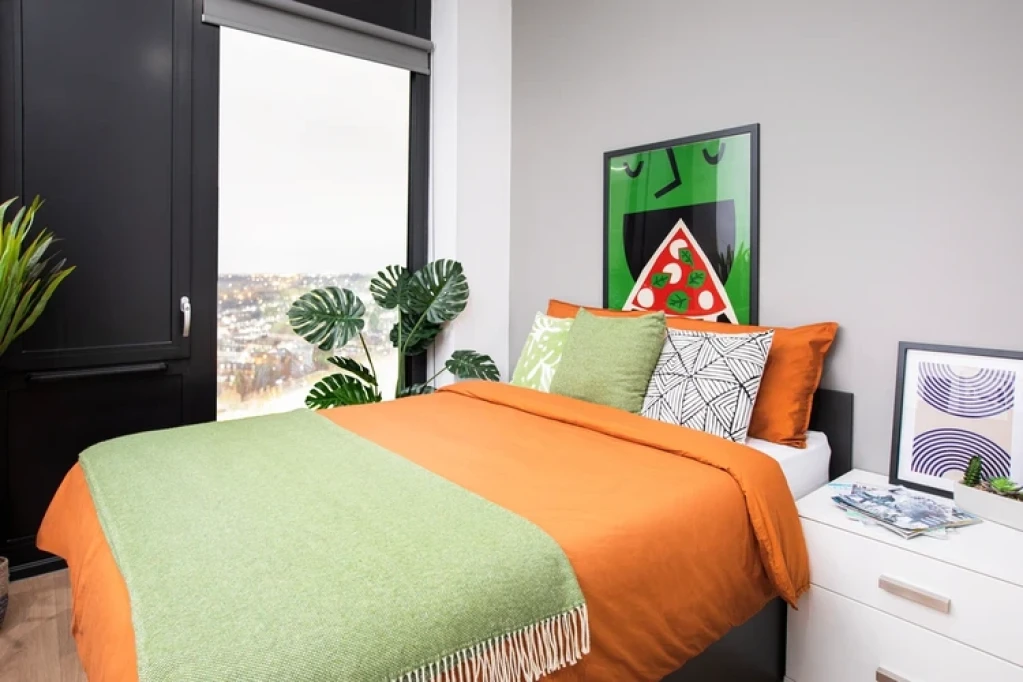 Battery Park Unite - Birmingham - chambre - ImmoJeune