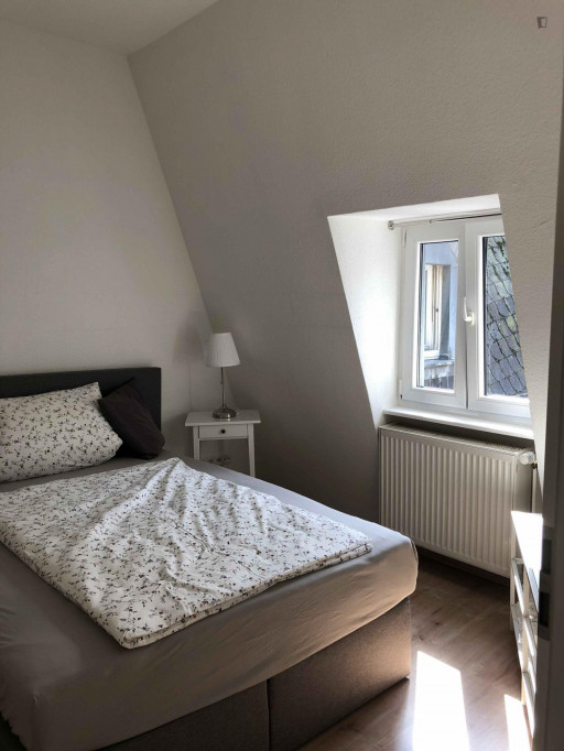 Comfortable single bedroom in a 4-bedroom apartment close to Frankfurt Central Station - Frankfurt am Main - chambre - ImmoJeune