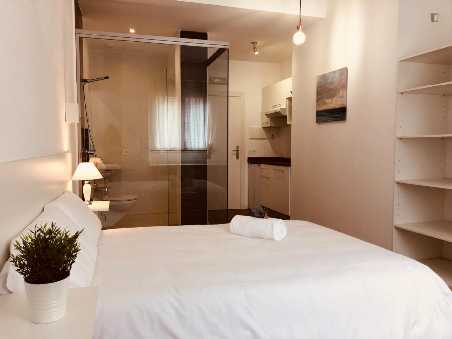 Appealing studio a stone's throw from Puente Romano