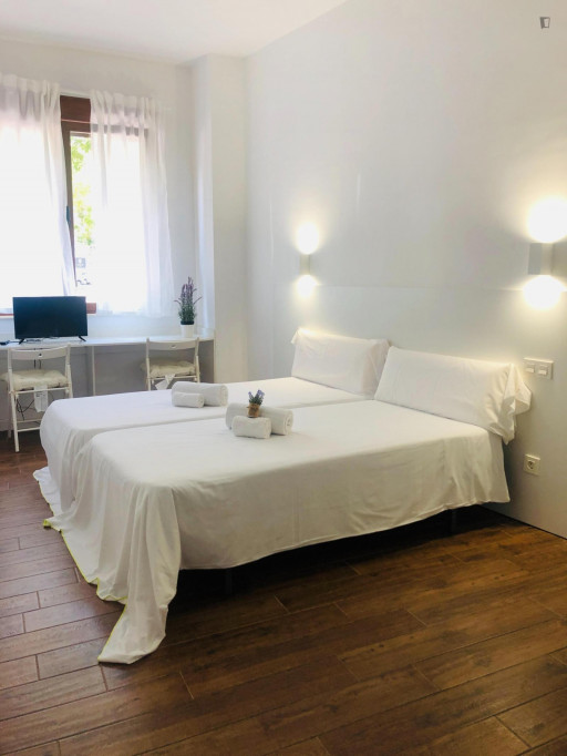 Snug studio near Puente Romano - Salamanca - chambre - ImmoJeune