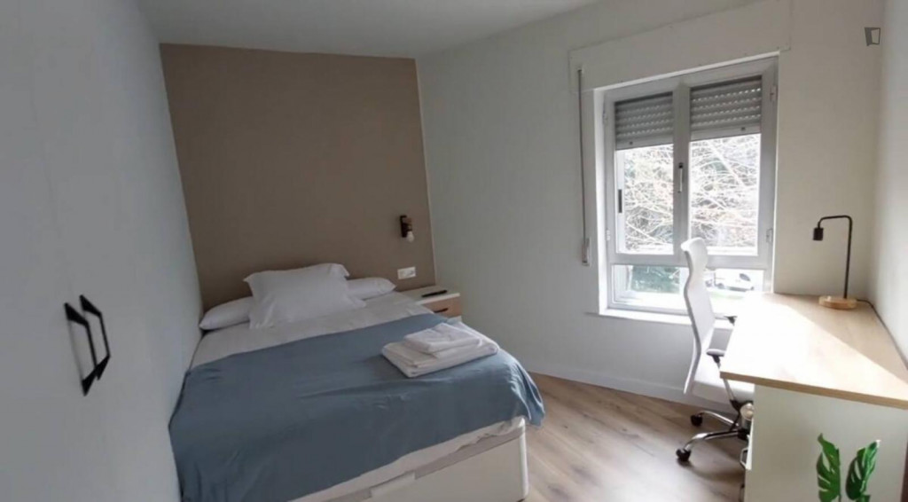 Welcoming double bedroom in a student flat, near the centre of Salamanca - Salamanca - chambre - ImmoJeune