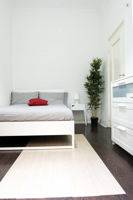 Neat double bedroom in 7-bedrooms apartment - Milan - chambre - ImmoJeune