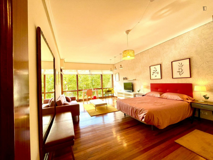 Large double bedroom in Matiko - Bilbao - chambre - ImmoJeune