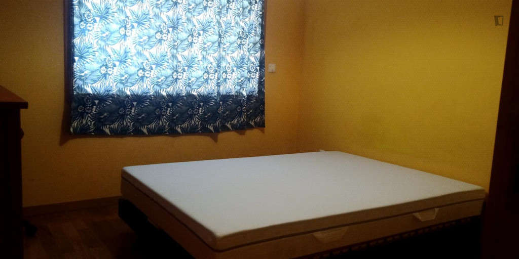 Homely double bedroom in residential Lavra - Porto - chambre - ImmoJeune