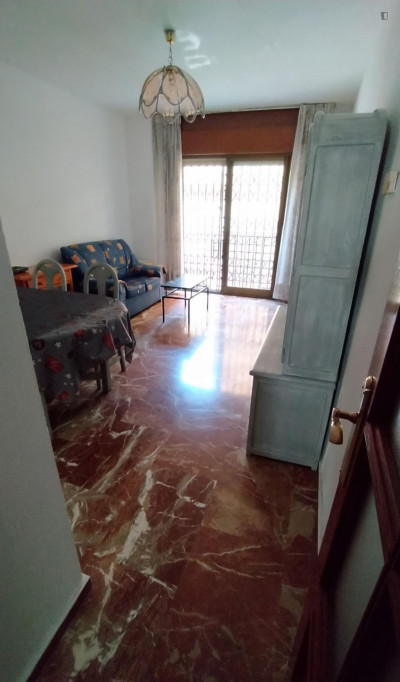 Bright room in an Spacious apartment close to Traductores, Facultad de Derecho