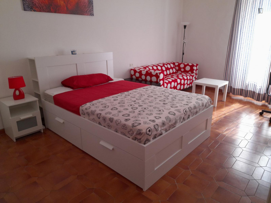Luminous double room in a 4-bedroom flat near the university area - Florence - chambre - ImmoJeune