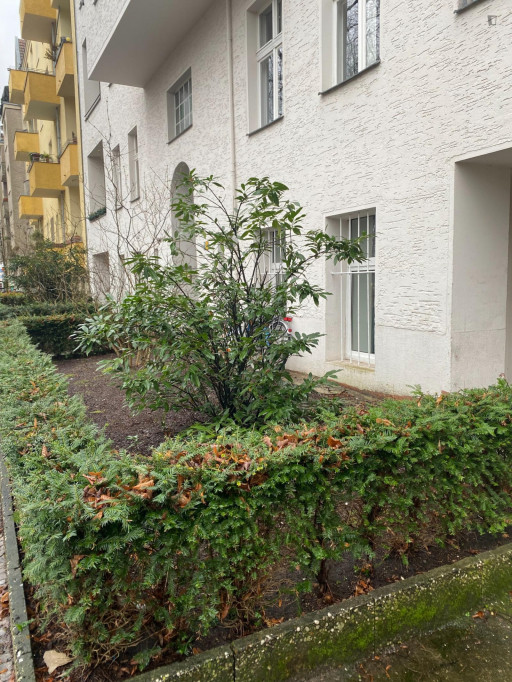 Stunning 2 bedroom apartment in Tempelhof