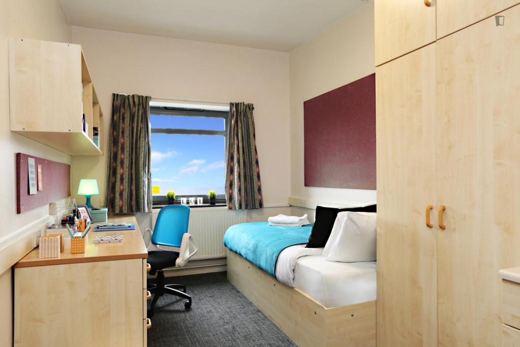 Cosy single bedroom close to Russell Square station - London - chambre - ImmoJeune