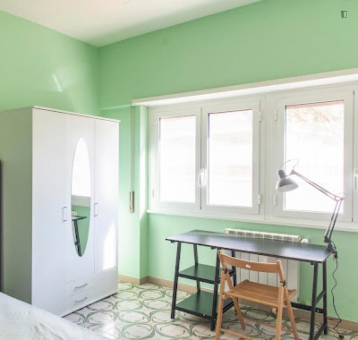 Comfy double bedroom in a 3-bedroom apartment near Roma Tre University - Rome - chambre - ImmoJeune