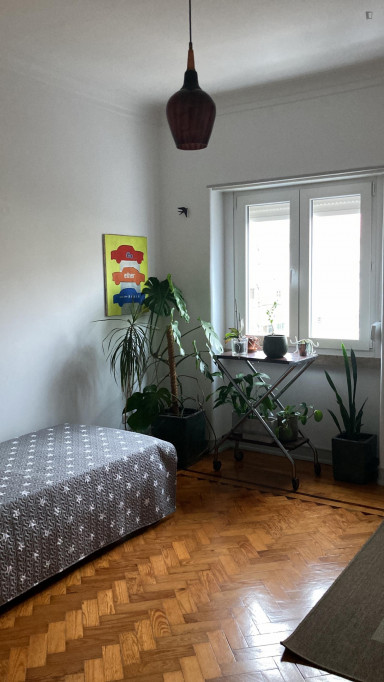 Pleasant single bedroom in Penha de França - Lisbonne - chambre - ImmoJeune