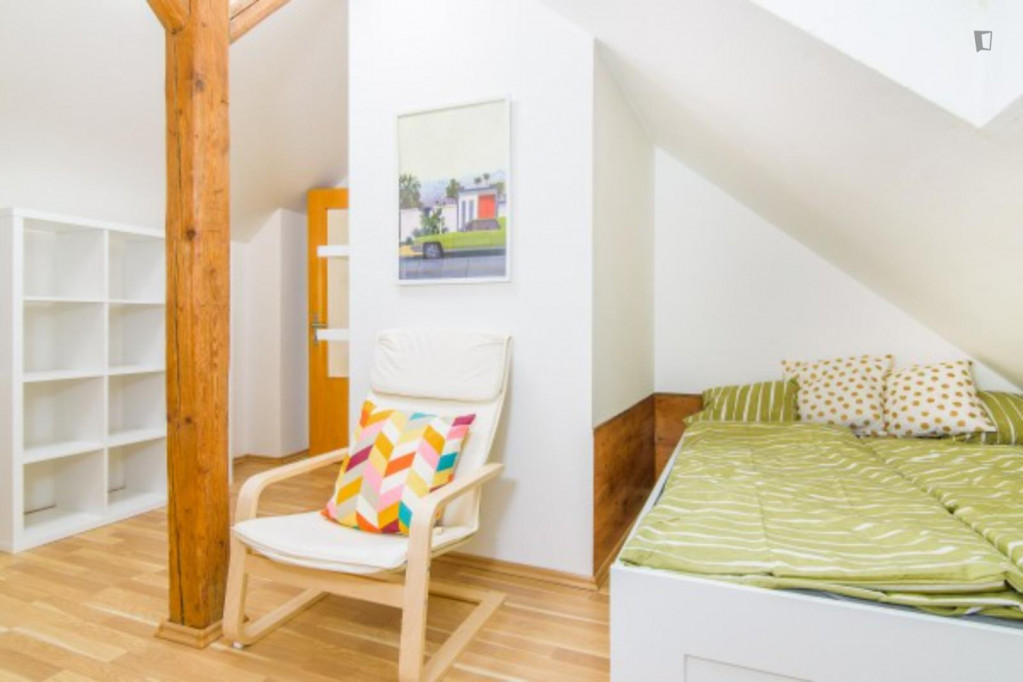 Cosy double bedroom in a 5-bedroom apartment close to Tyršův vrch - Prague - chambre - ImmoJeune
