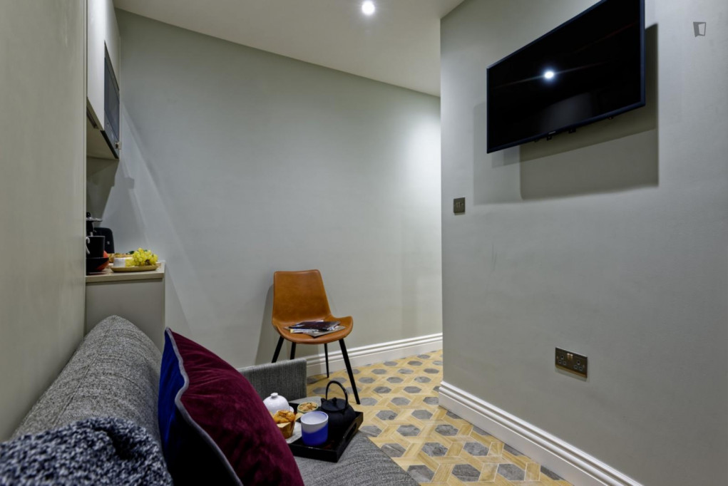 Comfy studio in well-linked Marylebone