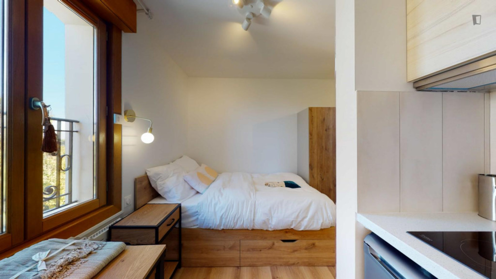 Pretty nice studio in well-linked Créteil