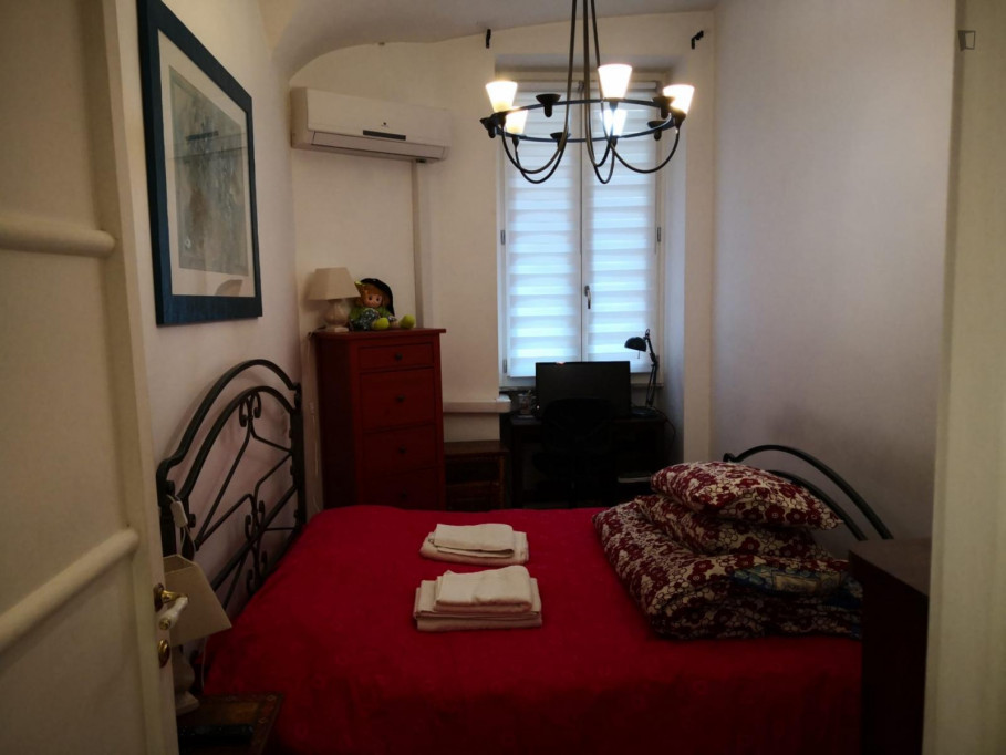 Homely 1-bedroom apartment in Prati