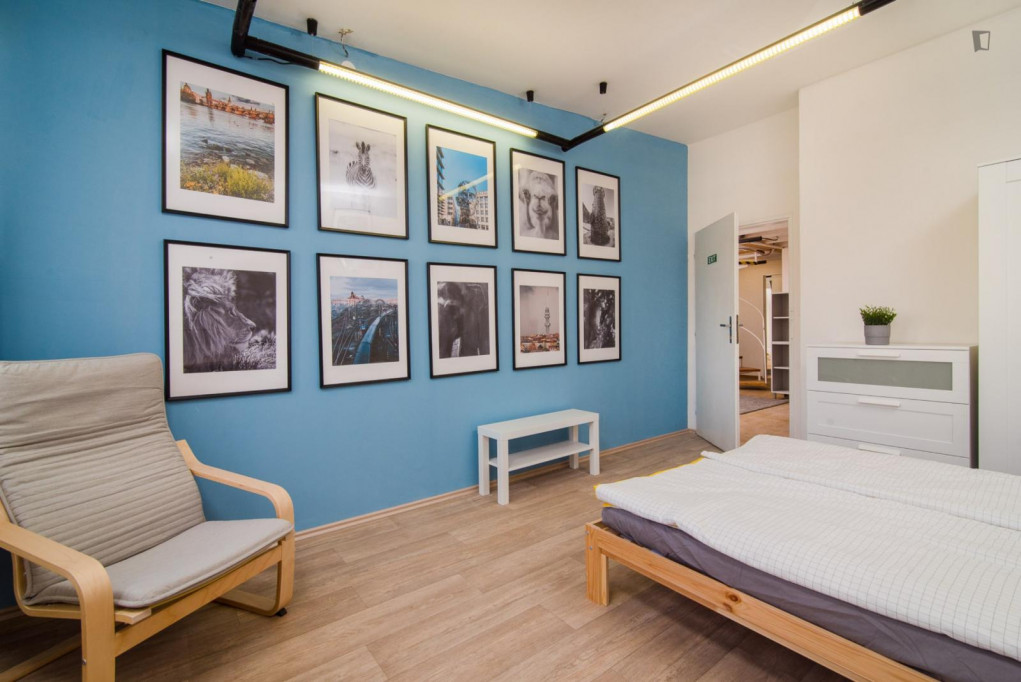 Bright double bedroom in a 4-bedroom apartment close to Grebovka park - Prague - chambre - ImmoJeune