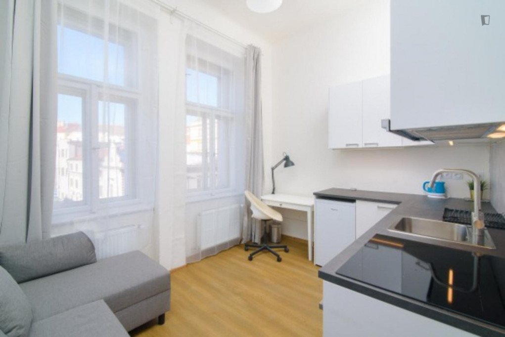 Cosy studio close to I. P. Pavlova metro station - Prague - chambre - ImmoJeune