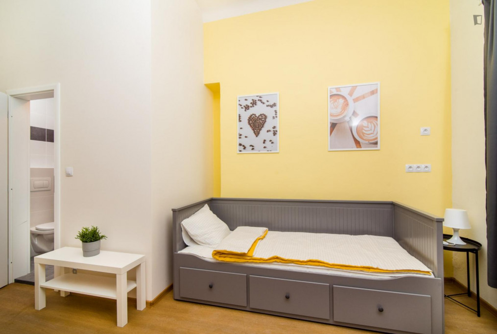 Comfy single bedroom in a 5-bedroom apartment close to Riegrovy sady