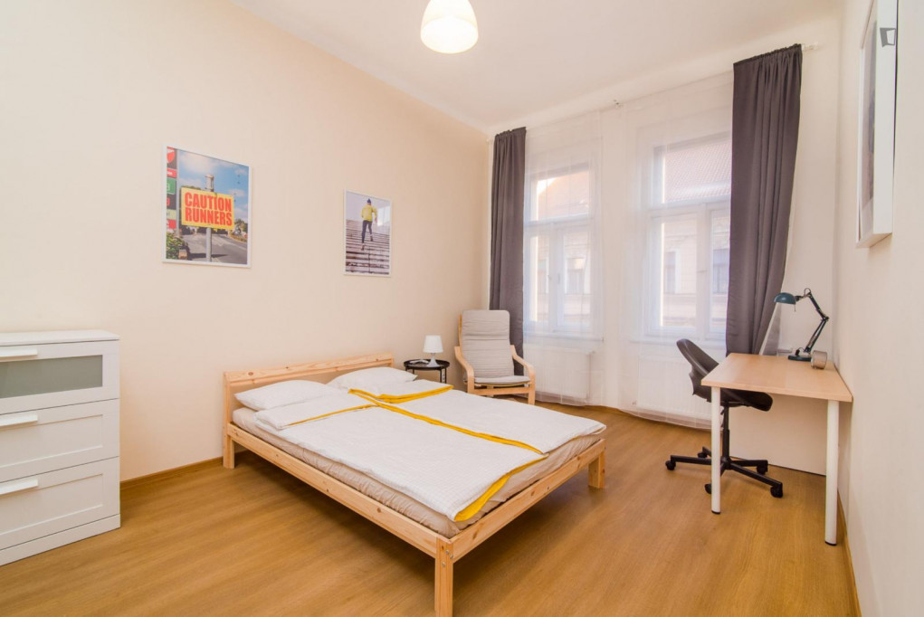 Snug double bedroom in a 5-bedroom apartment not far from Narodni Museum - Prague - chambre - ImmoJeune
