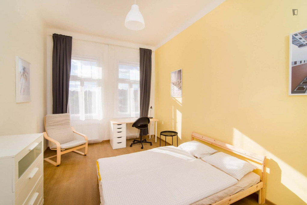 Sunny double bedroom in the well-linked Prague 2 district - Prague - chambre - ImmoJeune