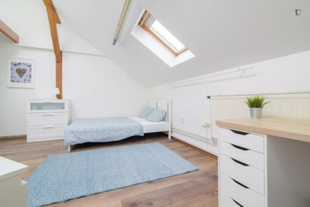 Trendy double bedroom in a 6-bedroom apartment close to Grebovka park - Prague - chambre - ImmoJeune