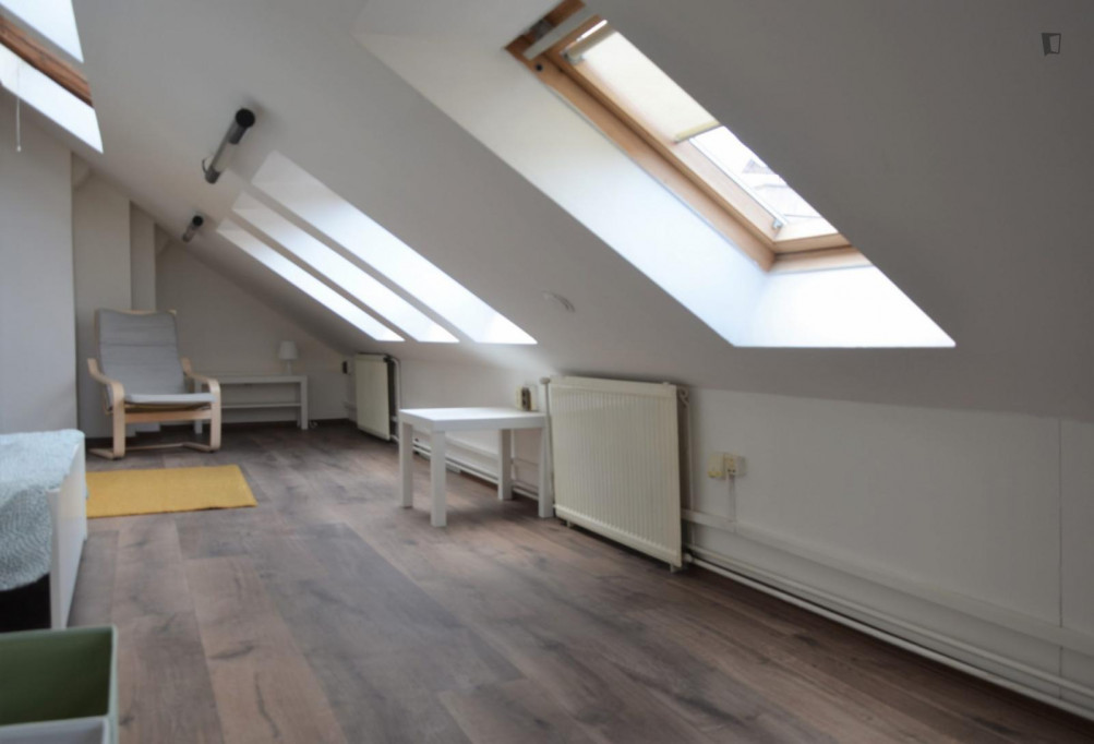 Neat double bedroom in a 6-bedroom apartment in Prague 2 district