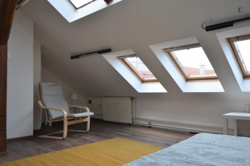 Neat double bedroom in a 6-bedroom apartment in Prague 2 district