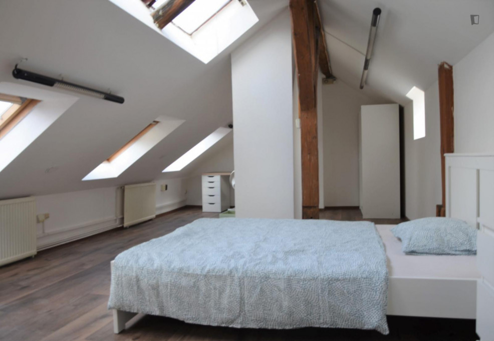 Neat double bedroom in a 6-bedroom apartment in Prague 2 district
