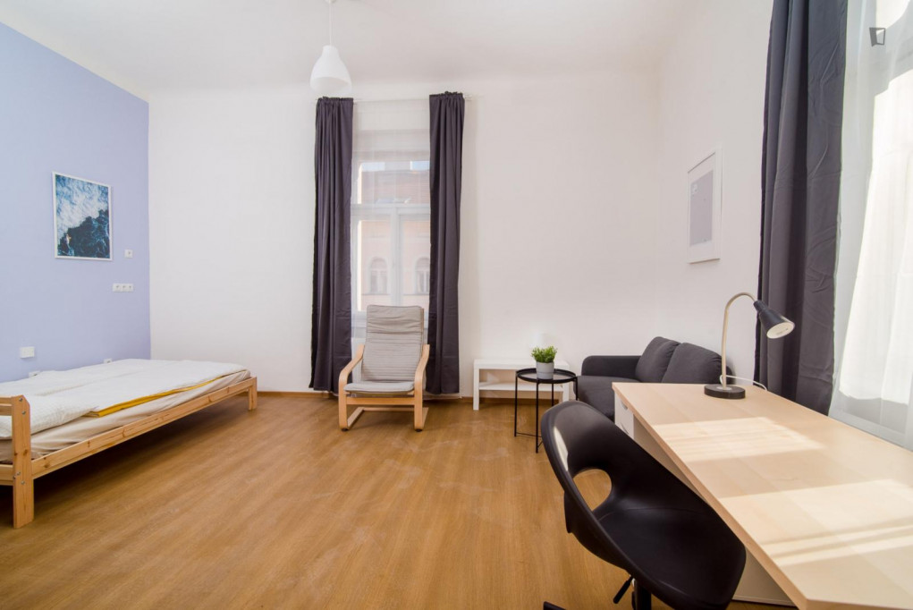 Luminous single bedroom in a 4-bedroom apartment close to I.P. Pavlova metro station - Prague - chambre - ImmoJeune
