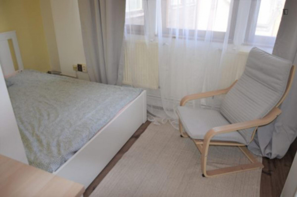 Cosy double bedroom in a 7-bedroom apartment in Prague 2 district - Prague - chambre - ImmoJeune