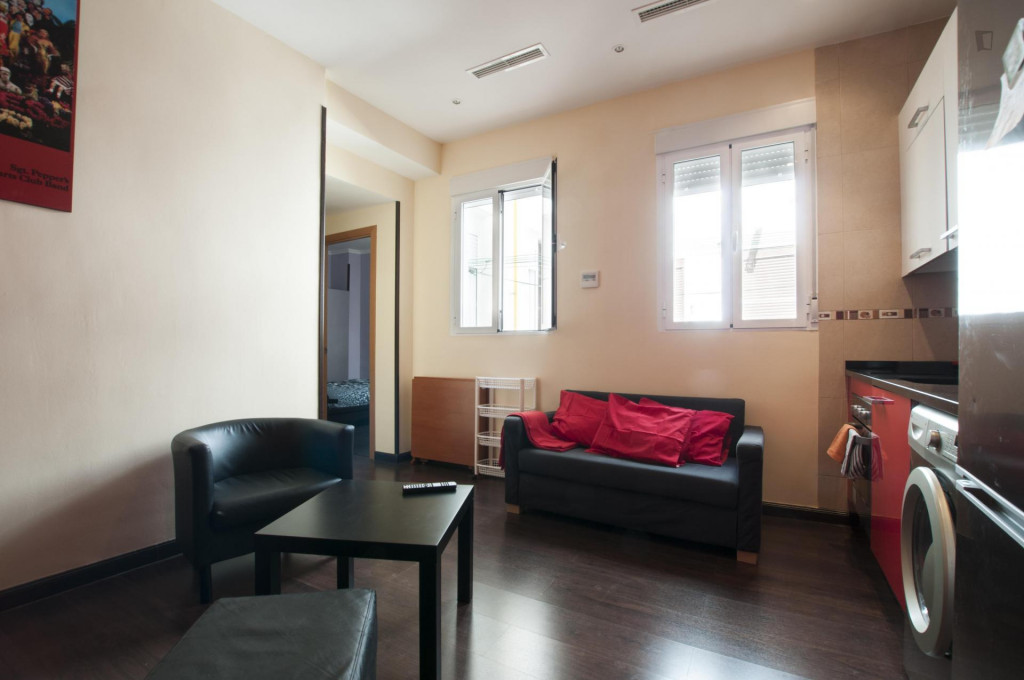 Cool 3-bedroom apartment in central Lavapiés