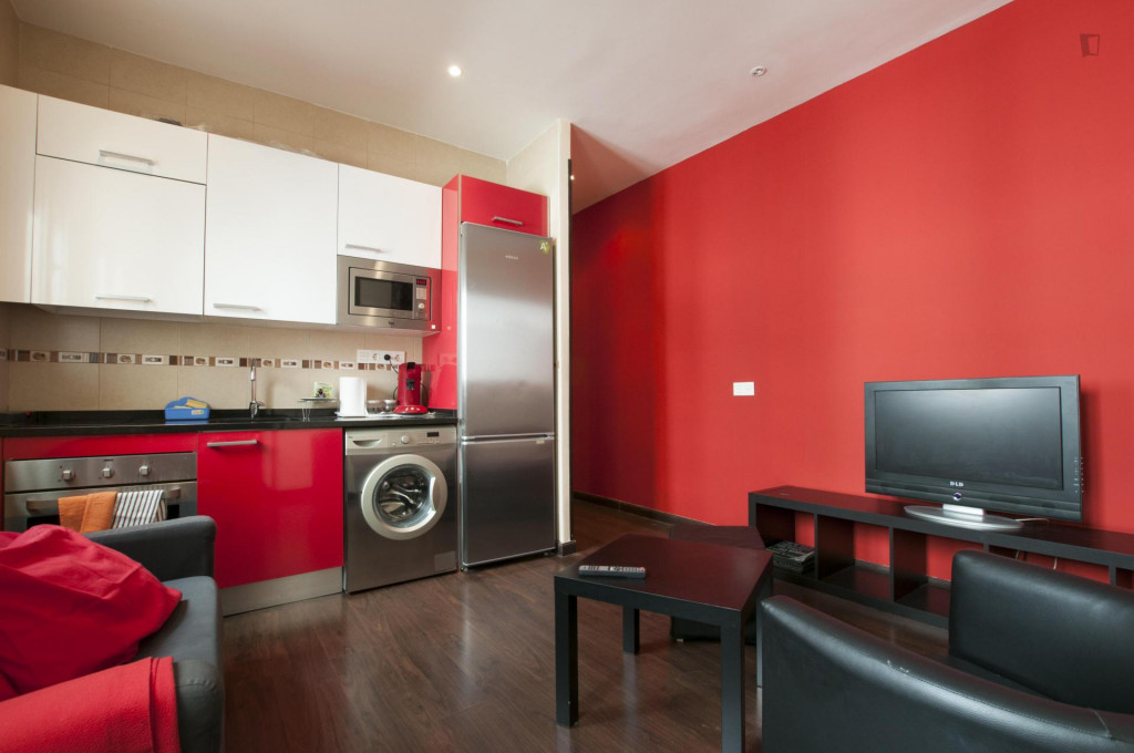 Cool 3-bedroom apartment in central Lavapiés