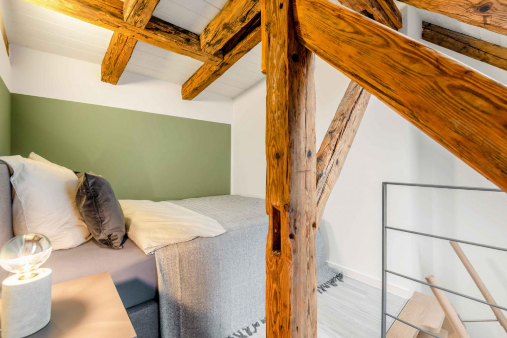 Cozy single bedroom in a 5 bedroom apartment in Altstadt-Lehel