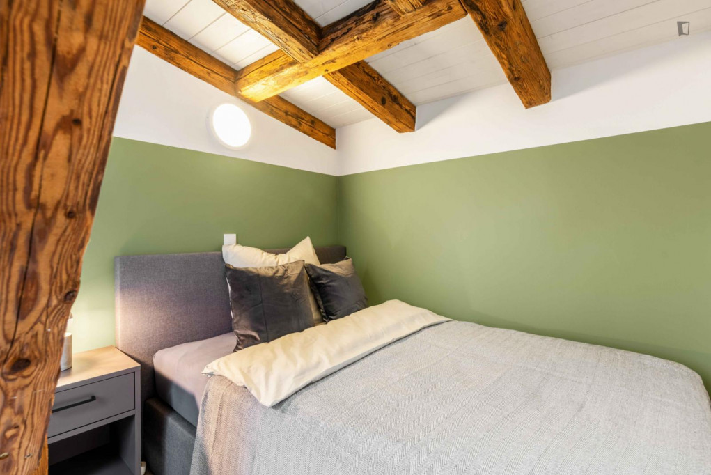 Cozy single bedroom in a 5 bedroom apartment in Altstadt-Lehel