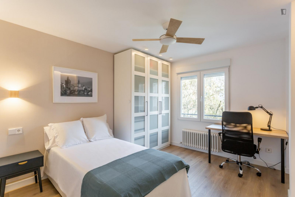 Bright double bedroom near Facultad de Educación y Psicología - Pamplona - chambre - ImmoJeune