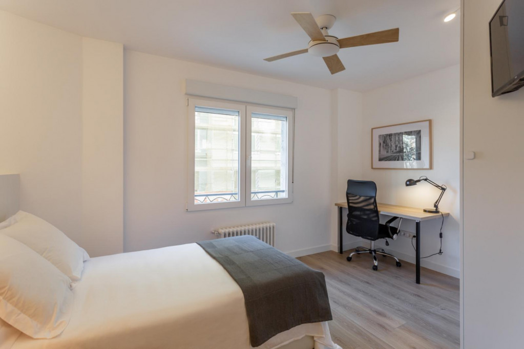Delightful double bedroom near University - Pamplona - chambre - ImmoJeune