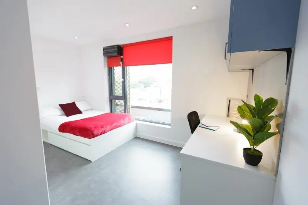 New Cross - London - chambre - ImmoJeune