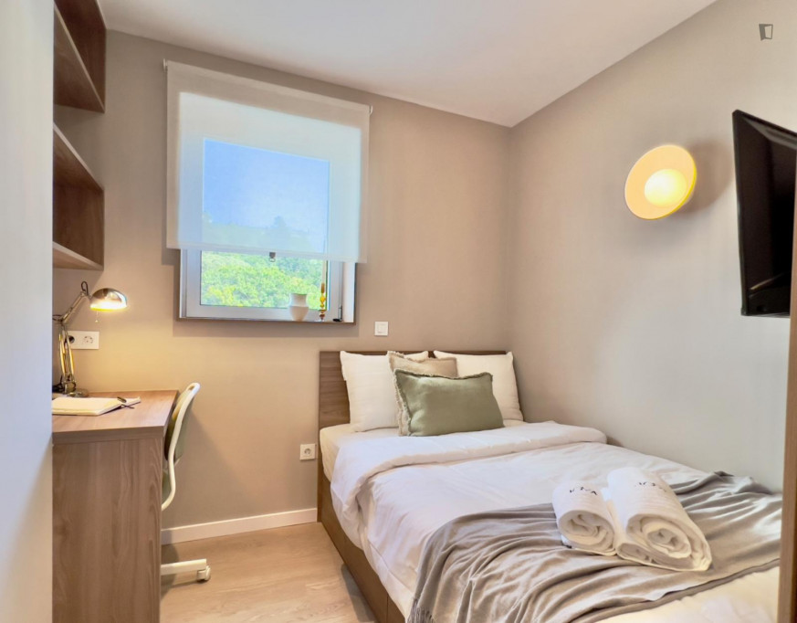 Sunny double ensuite bedroom in a 2-bedroom flat - Coimbra - chambre - ImmoJeune