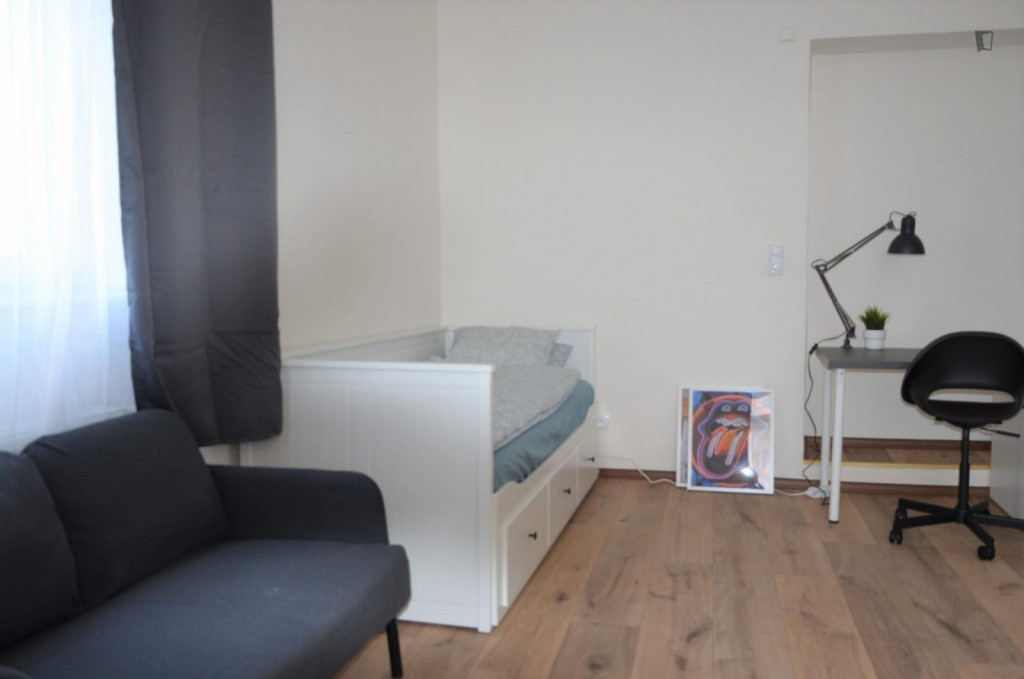 Smart studio close to the First Faculty of Medicine, Charles University - Prague - chambre - ImmoJeune