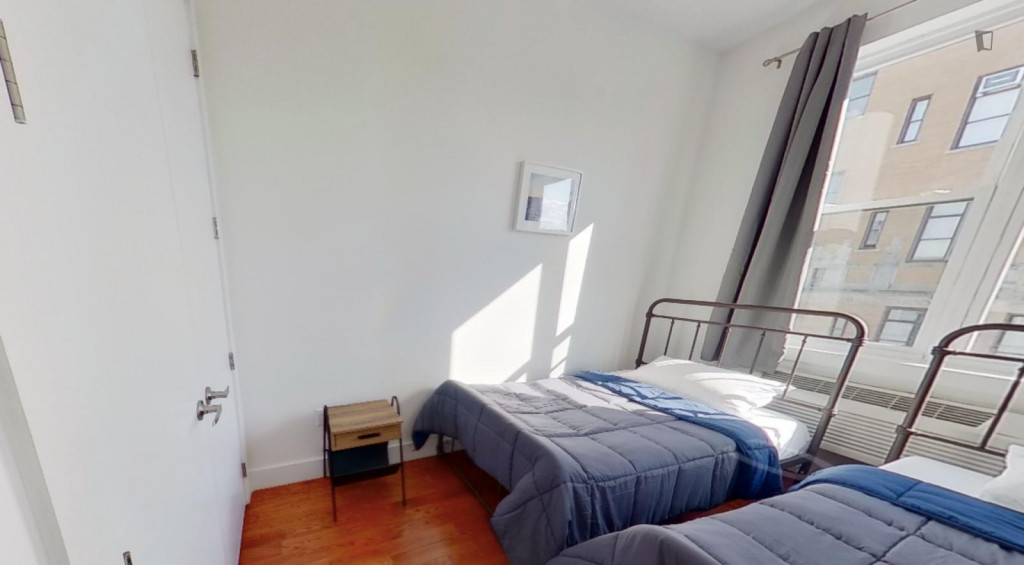 Bed in a twin bedroom in Brooklyn (males only) - New York City - chambre - ImmoJeune