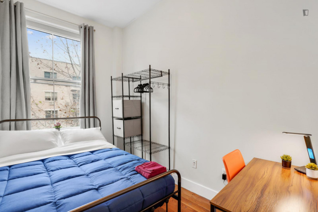 Very nice double bedroom in popular Williamsburg - New York City - chambre - ImmoJeune