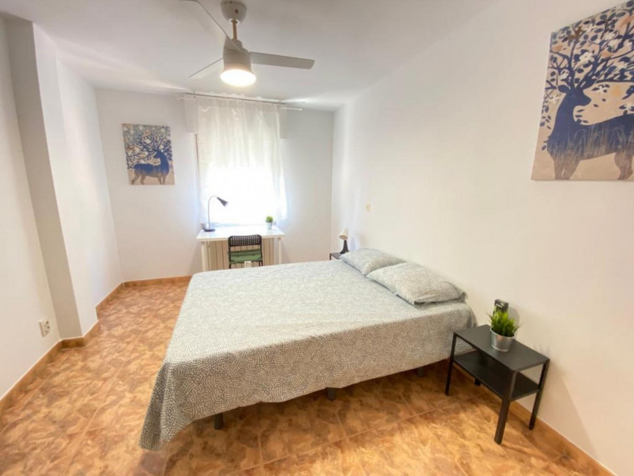 Appealing single bedroom - Madrid - chambre - ImmoJeune
