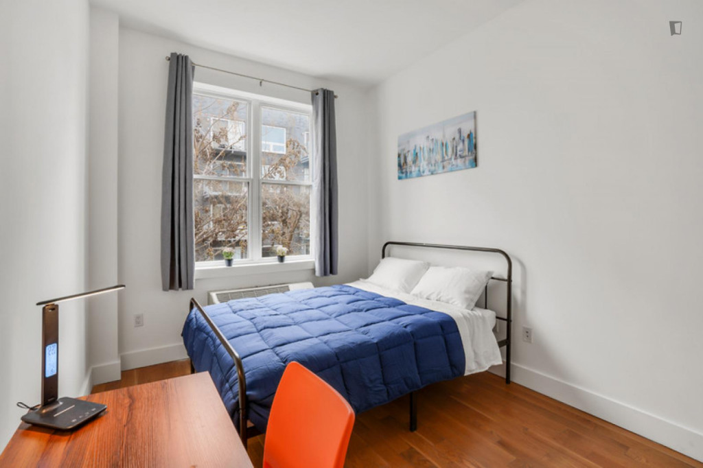 Admirable double bedroom in Williamsburg - New York City - chambre - ImmoJeune