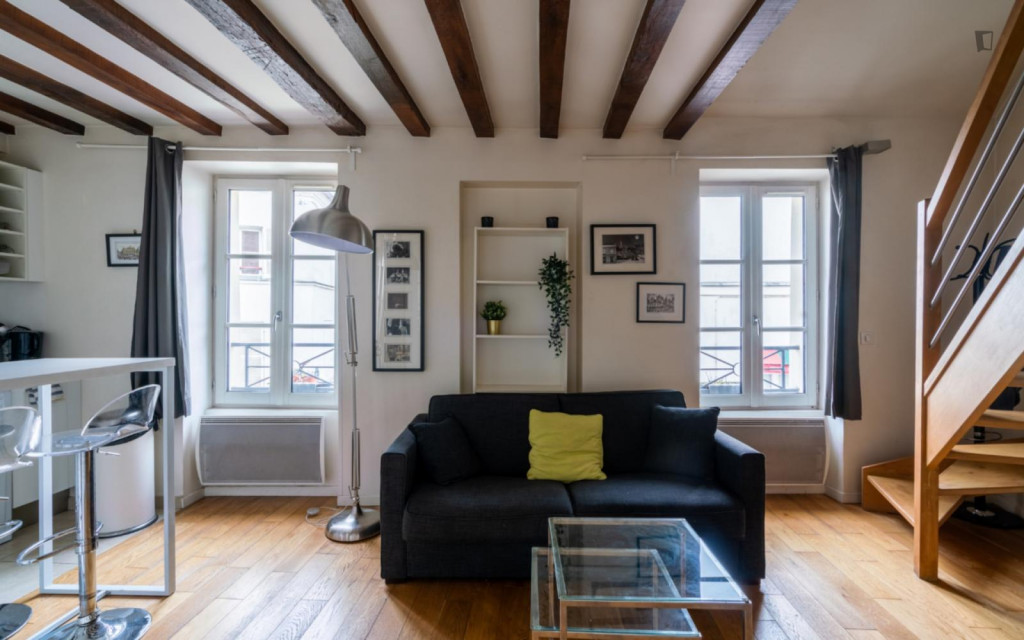 Nice 1-bedroom apartment in Paris (Montmartre)
