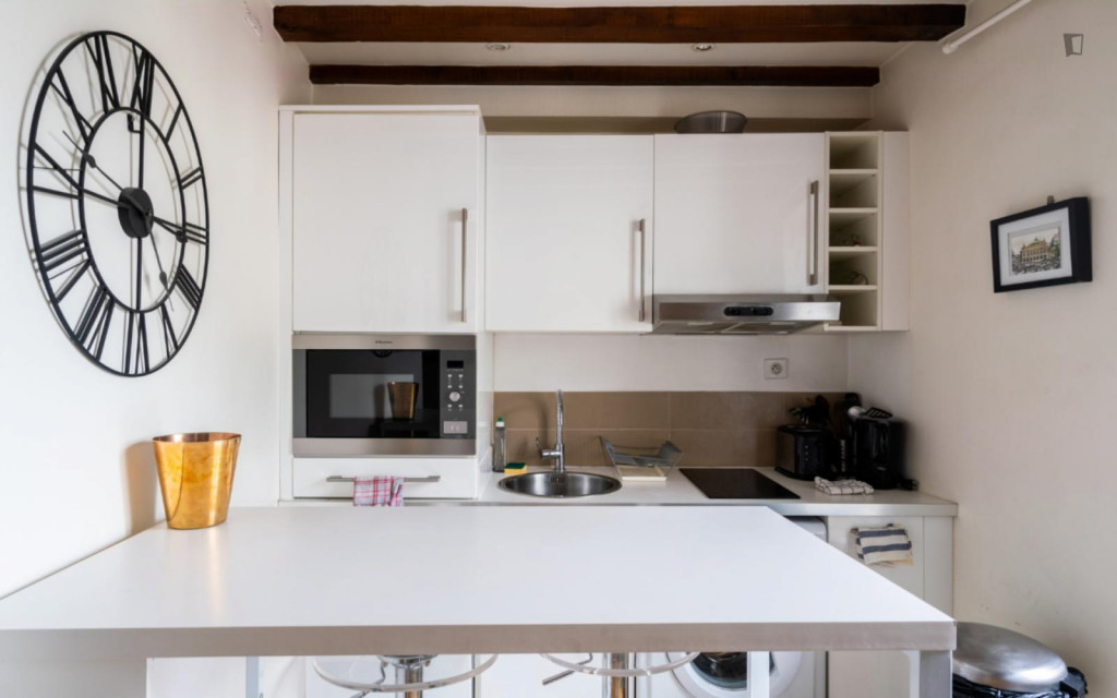 Nice 1-bedroom apartment in Paris (Montmartre)