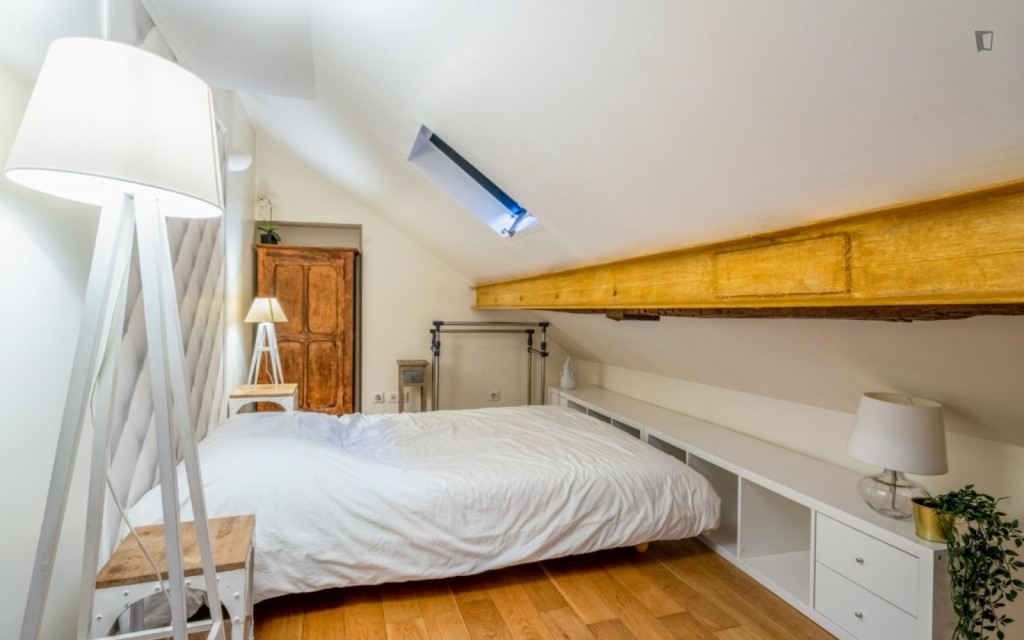Nice 1-bedroom apartment in Paris (Montmartre)