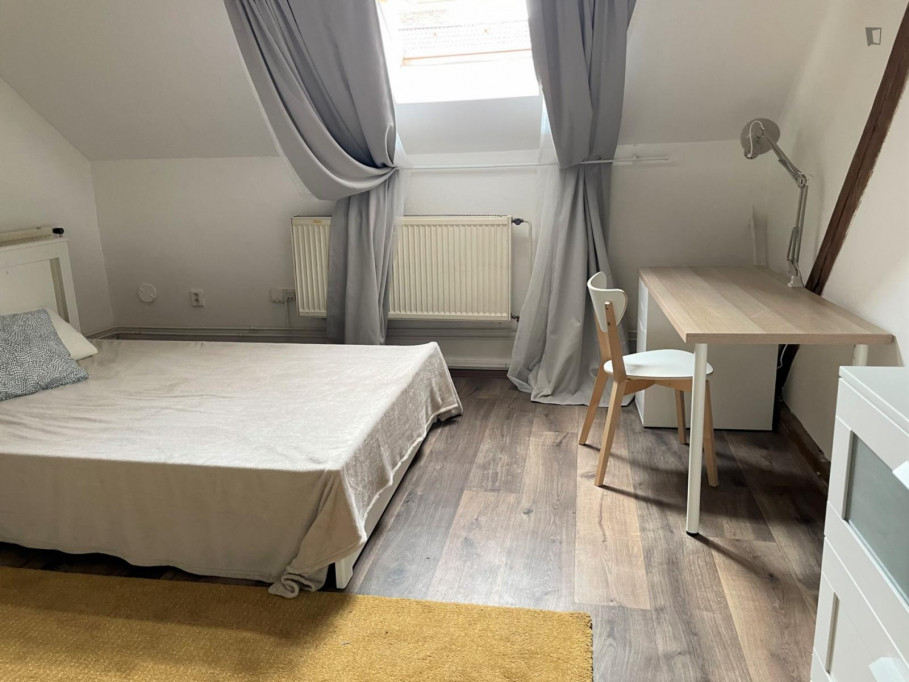 Comfy double bedroom in a 7-bedroom apartment close to Riegrovy sady - Prague - chambre - ImmoJeune