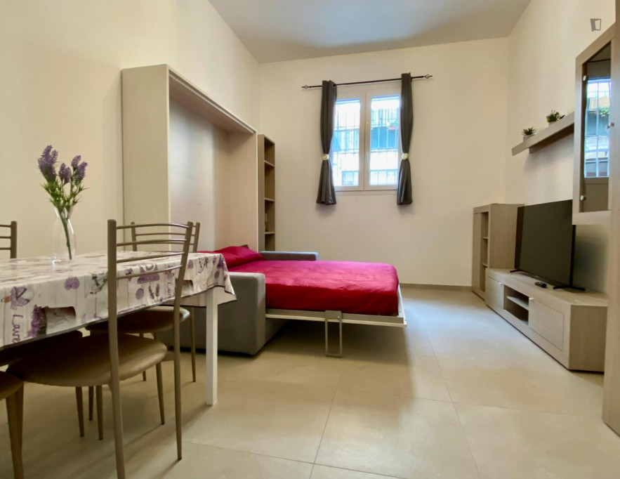 Cosy studio apartment close to Affori Centro metro station - Milan - chambre - ImmoJeune